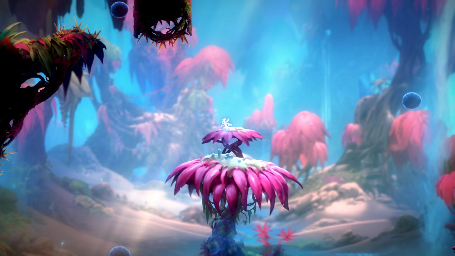 乐鱼体育(中国)官方网站-【球迷热情】现场气氛火爆，粉丝如何助威，球迷助威视频