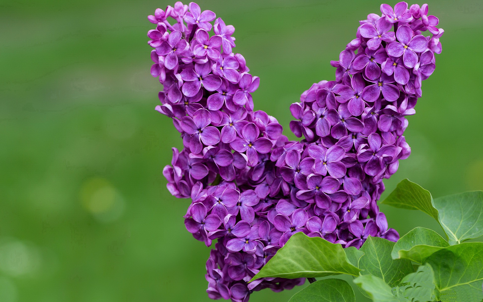 LEYU乐鱼体育官方网站-特色篮球赛事融合文化元素，推动体育与旅游深度结合，打造篮球特色学校