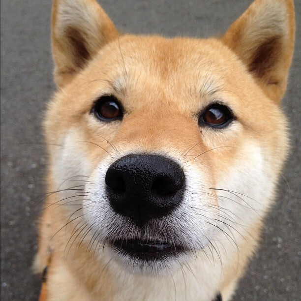 特色篮球赛事融合文化元素,推动体育与旅游深度结合,打造篮球特色学校