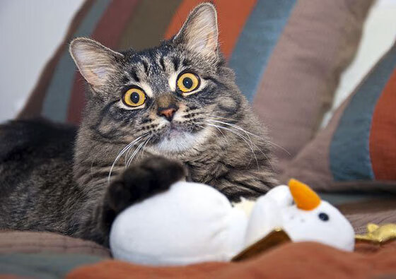 Leyu Sport下载-西甲比赛，教练详解中场控制与攻击策略的关系，中场如何防守