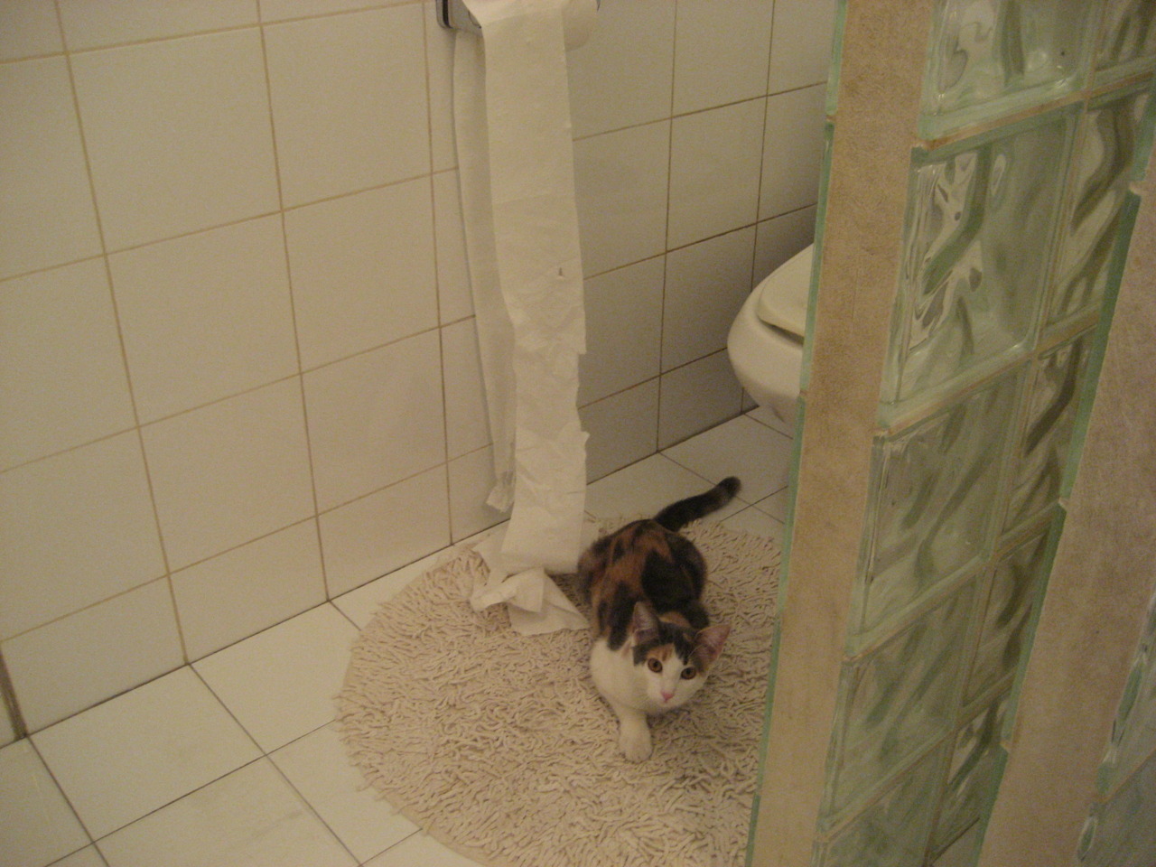 青少年“未来之星”篮球系列公益赛在西安圆满落幕，挖掘新秀，未来之星篮球场