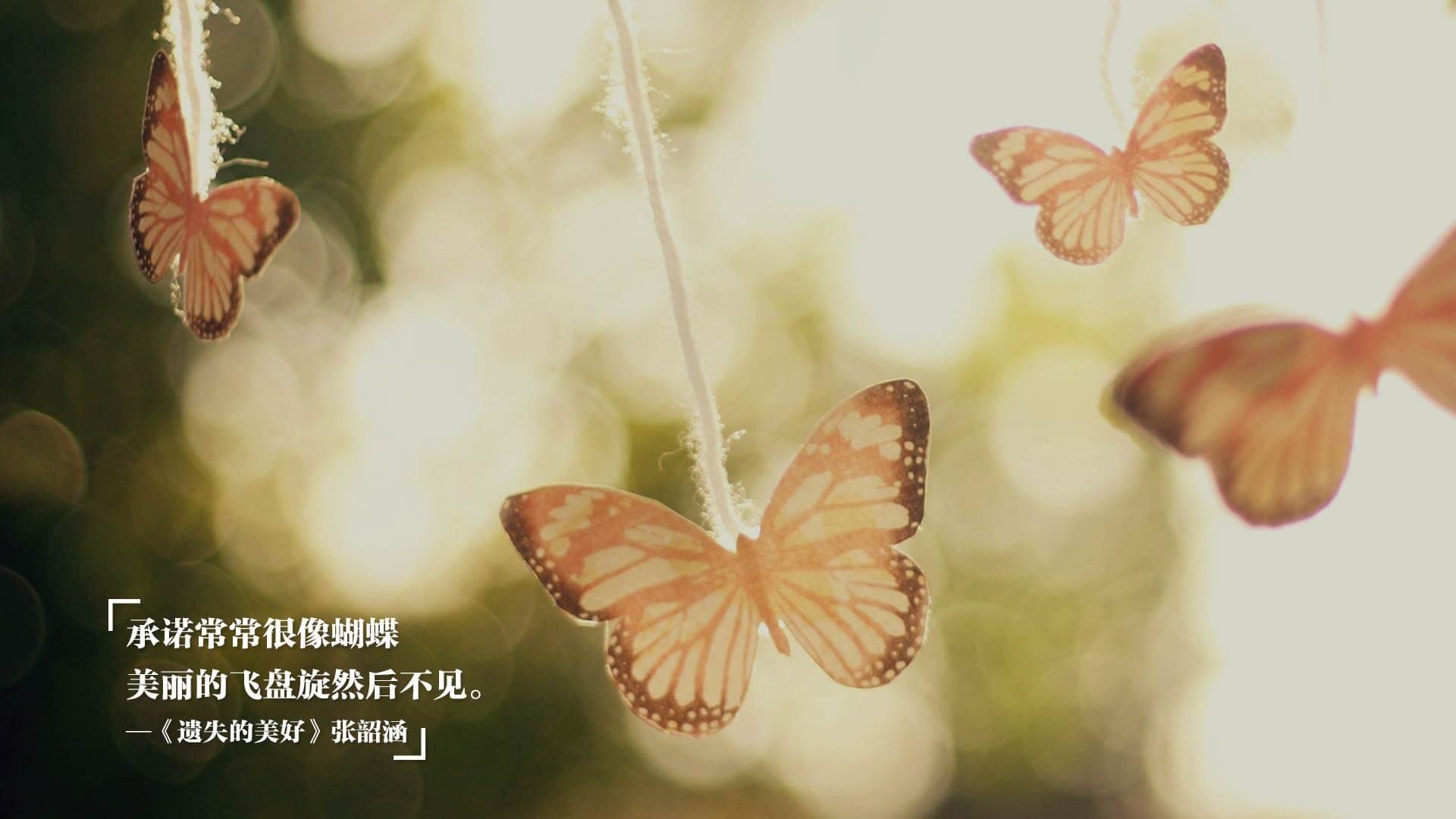 leyu乐鱼在线登录入口-青少年“未来之星”青训基地在天津正式运行，助推青训产业升级