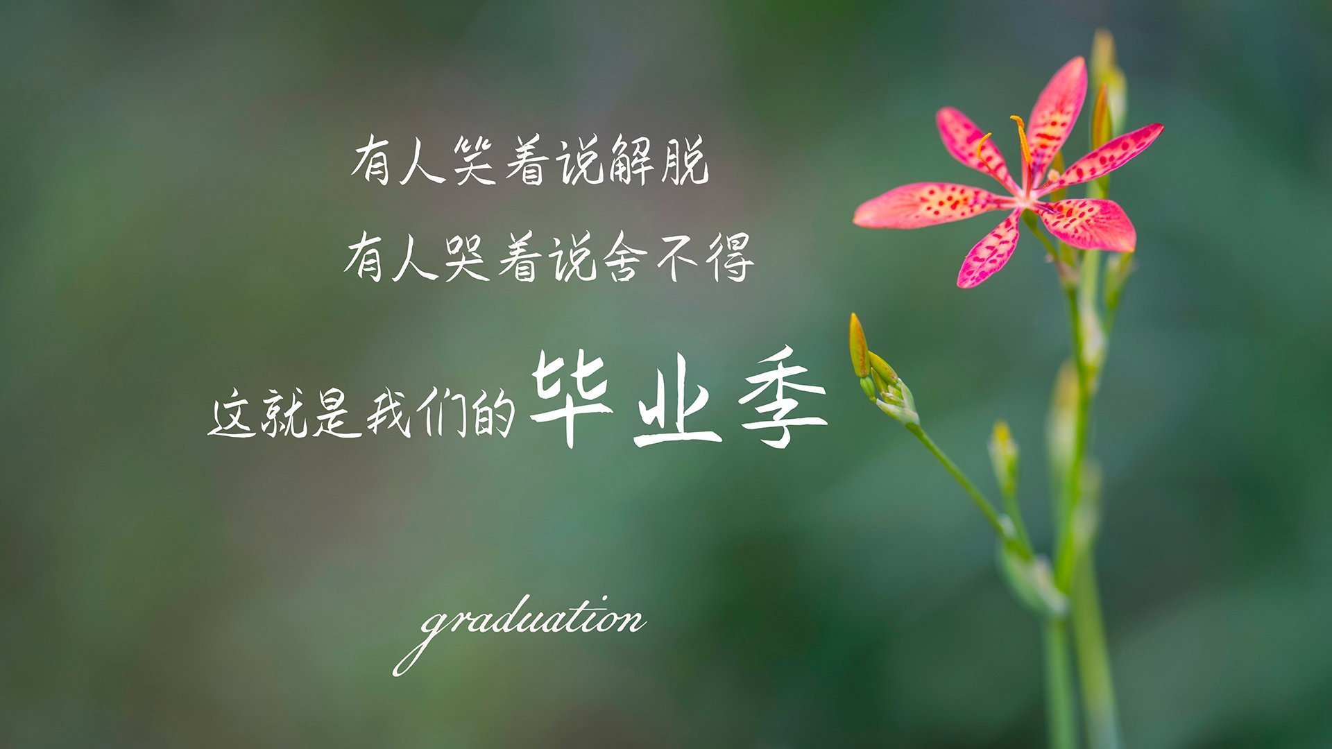 LEYU乐鱼体育官方网站-多伦多猛龙发展联盟表现亮眼，多伦多猛龙官网