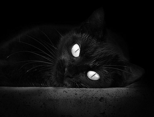 平均身高持续攀升,令球队内线优势明显,足坛平均身高