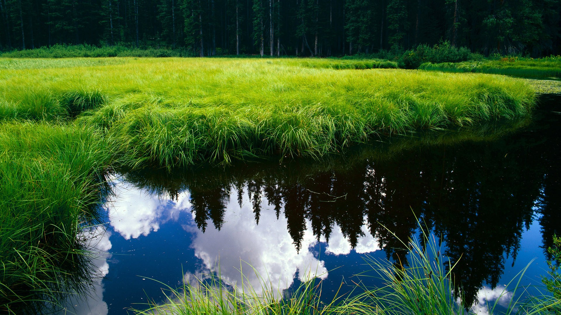 leyu乐鱼-成都兴城客场-击败青岛黄海，开门红，成都兴城地址