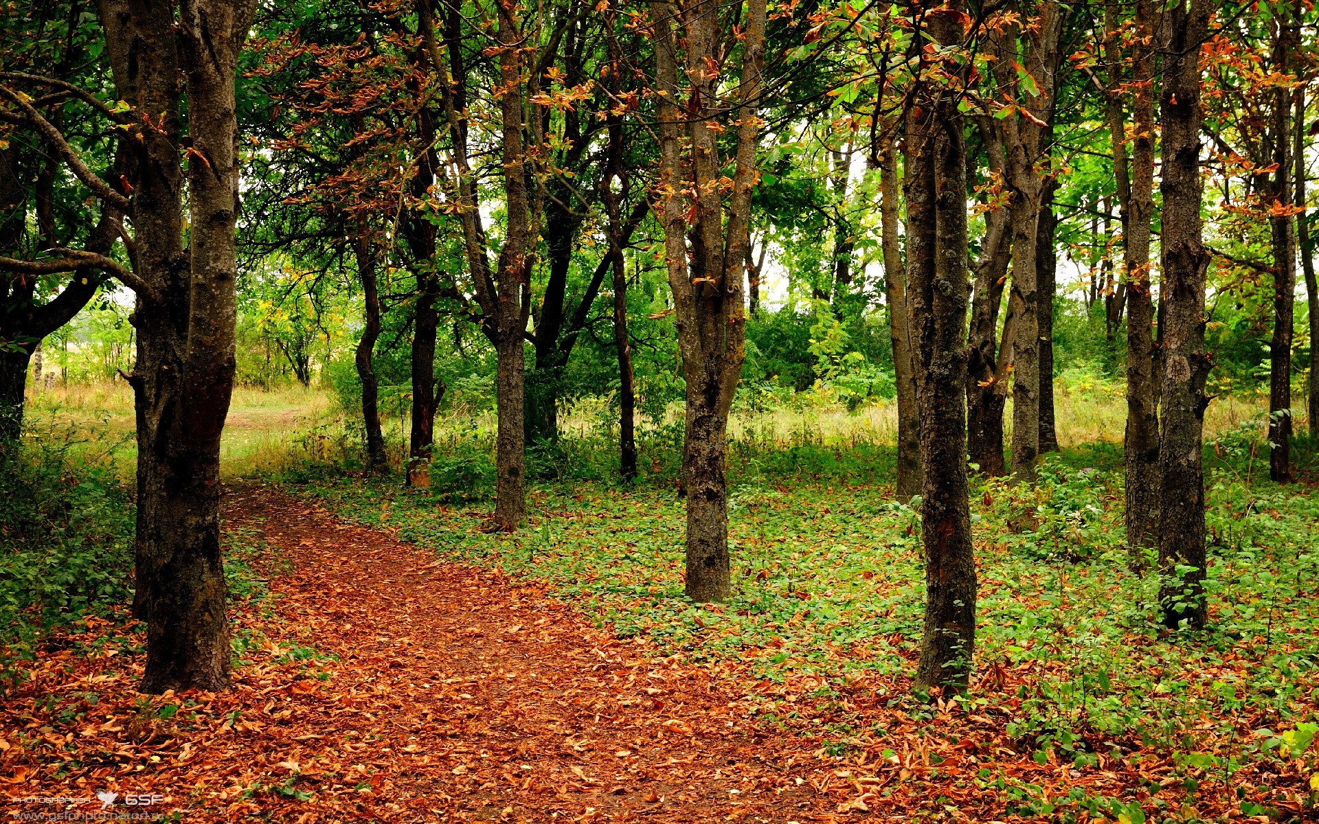 leyu乐鱼官网登录入口-成都兴城球员面临激烈比拼，备战迎战，成都兴城足球俱乐部阵容