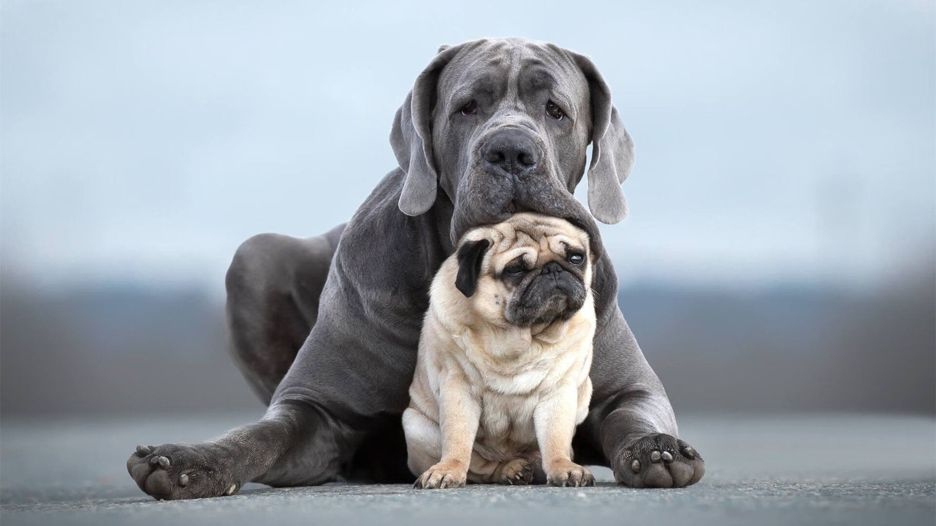 乐鱼官网-石油人连胜提升球队士气，石油人家
