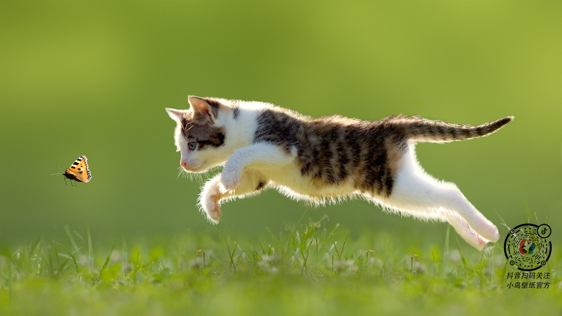 石油人连胜提升球队士气,石油人的七夕