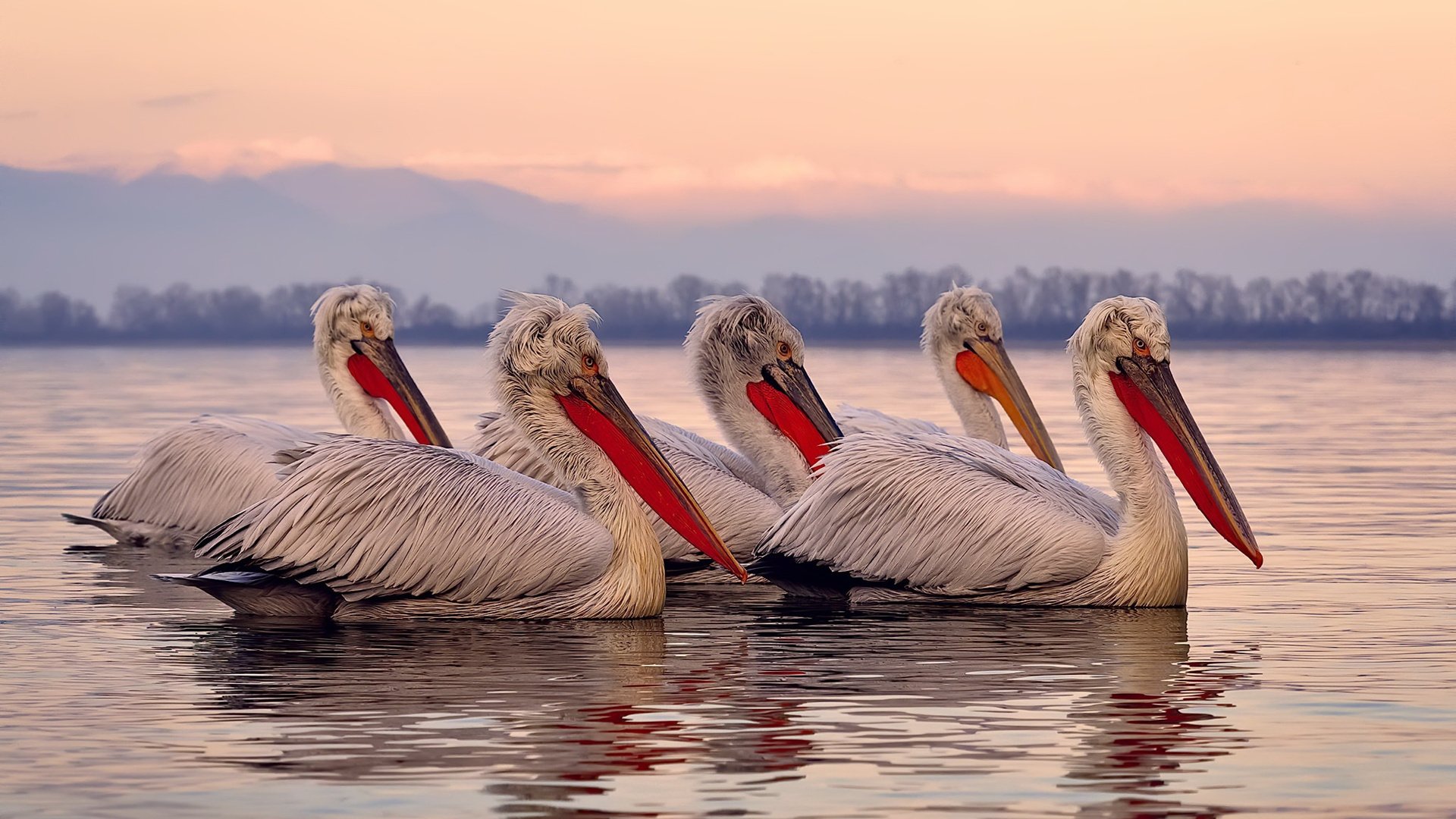 石油人防守压迫力加强，石油人防守压迫力加强