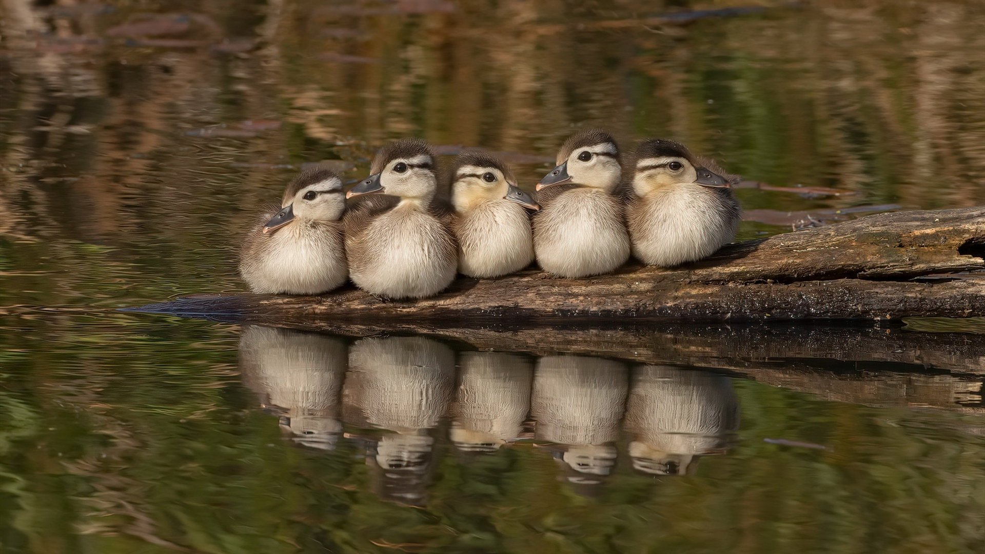 石油人防守反击效率提升,石油人防守反击效率提升方法