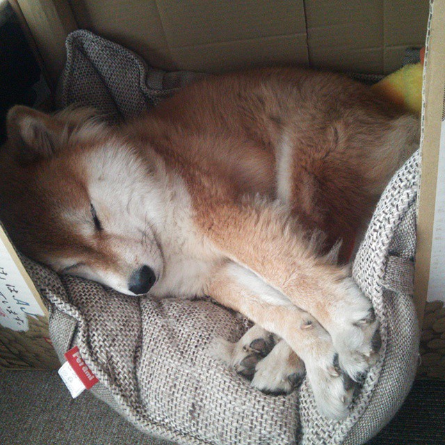 leyu乐鱼体育综合-美国女足在巴黎奥运会比赛中以2-0战胜日本，奥运会美国女足比分结果