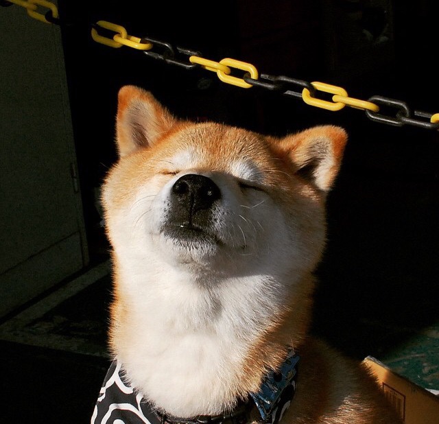 葡萄牙体育新赛季训练营开营，葡萄牙体育联赛冠军