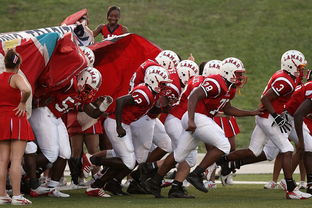 乐鱼体育登录-全国青少年皮划艇竞速赛在杭州顺利举行，青少年皮划艇夏令营活动