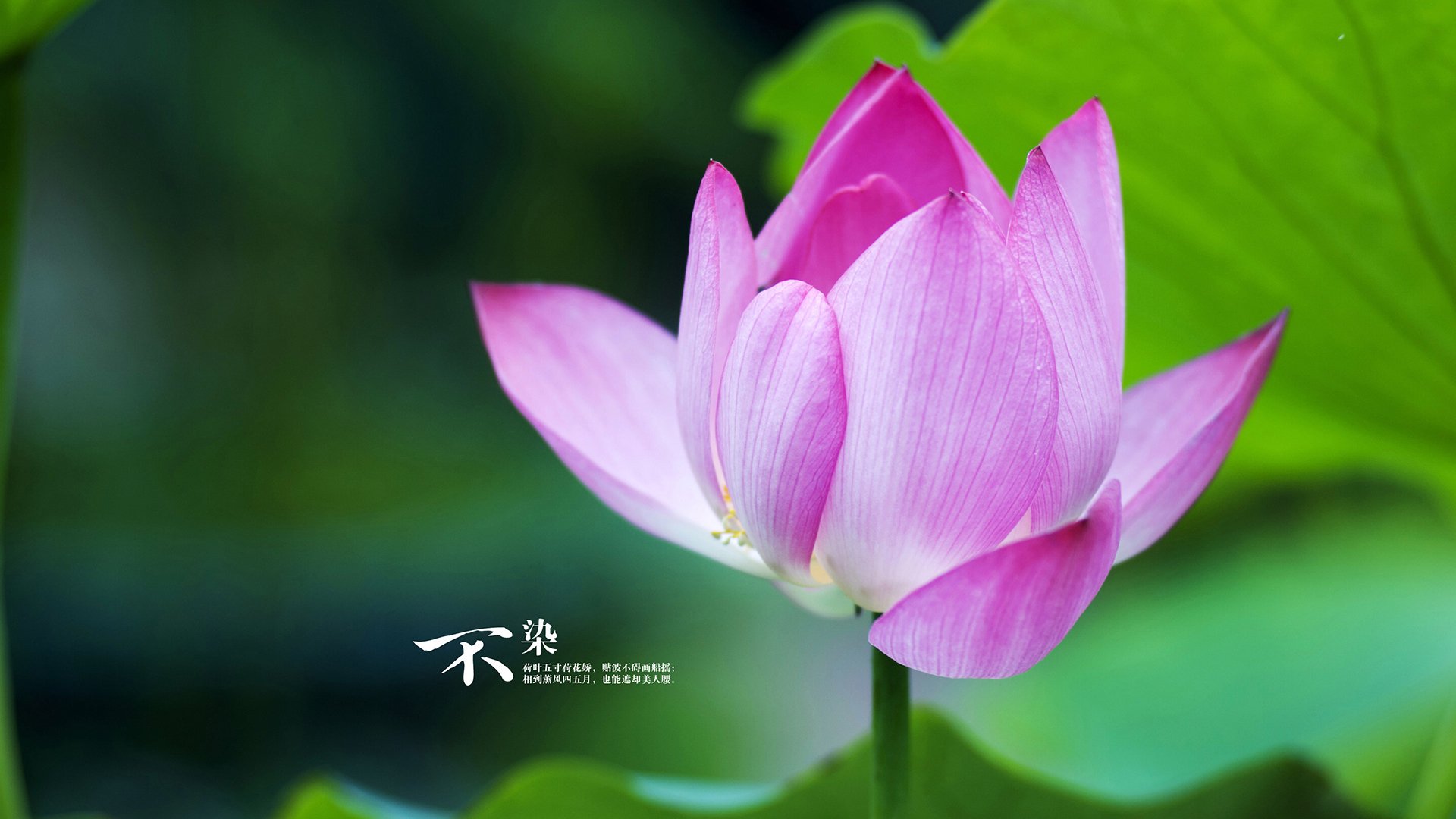 乐鱼app-国足对阵强队丢球类型整理，国足输过哪些弱队