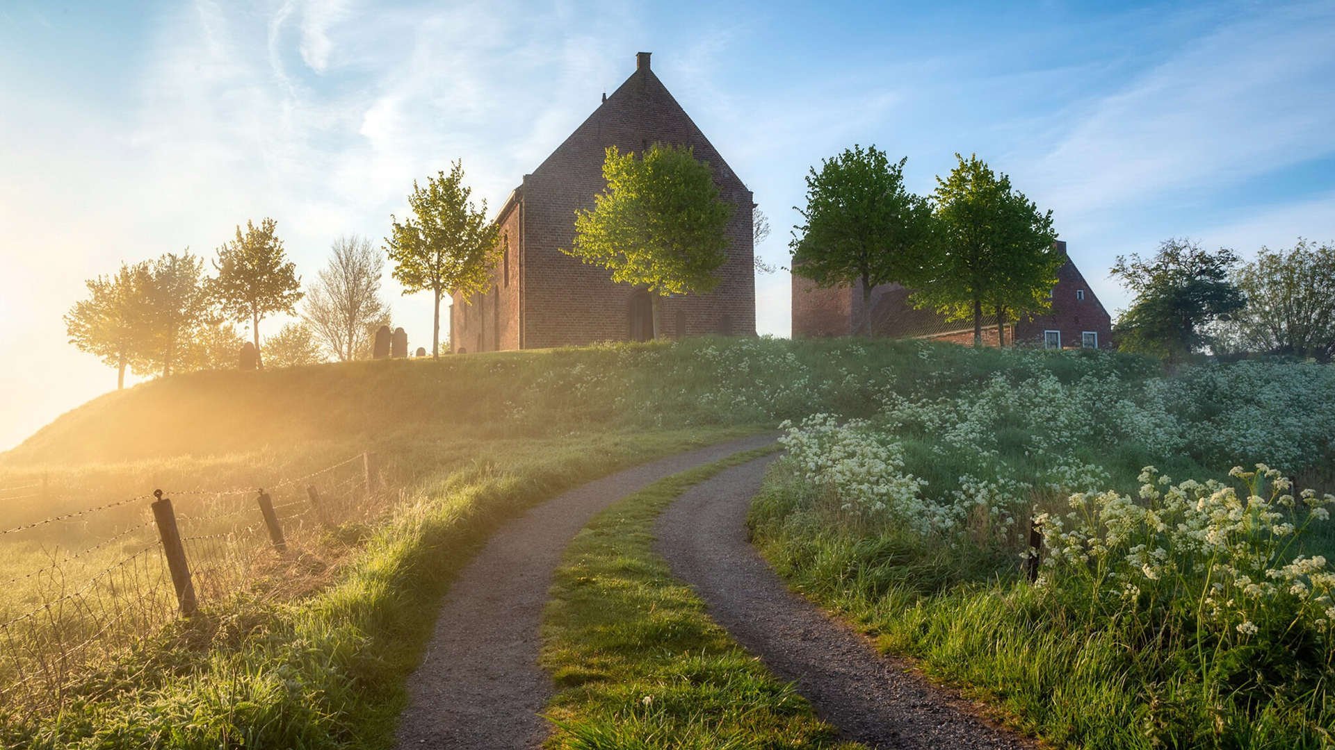 青年教练新启示：培养未来的足球巨星，国家青年足球队教练