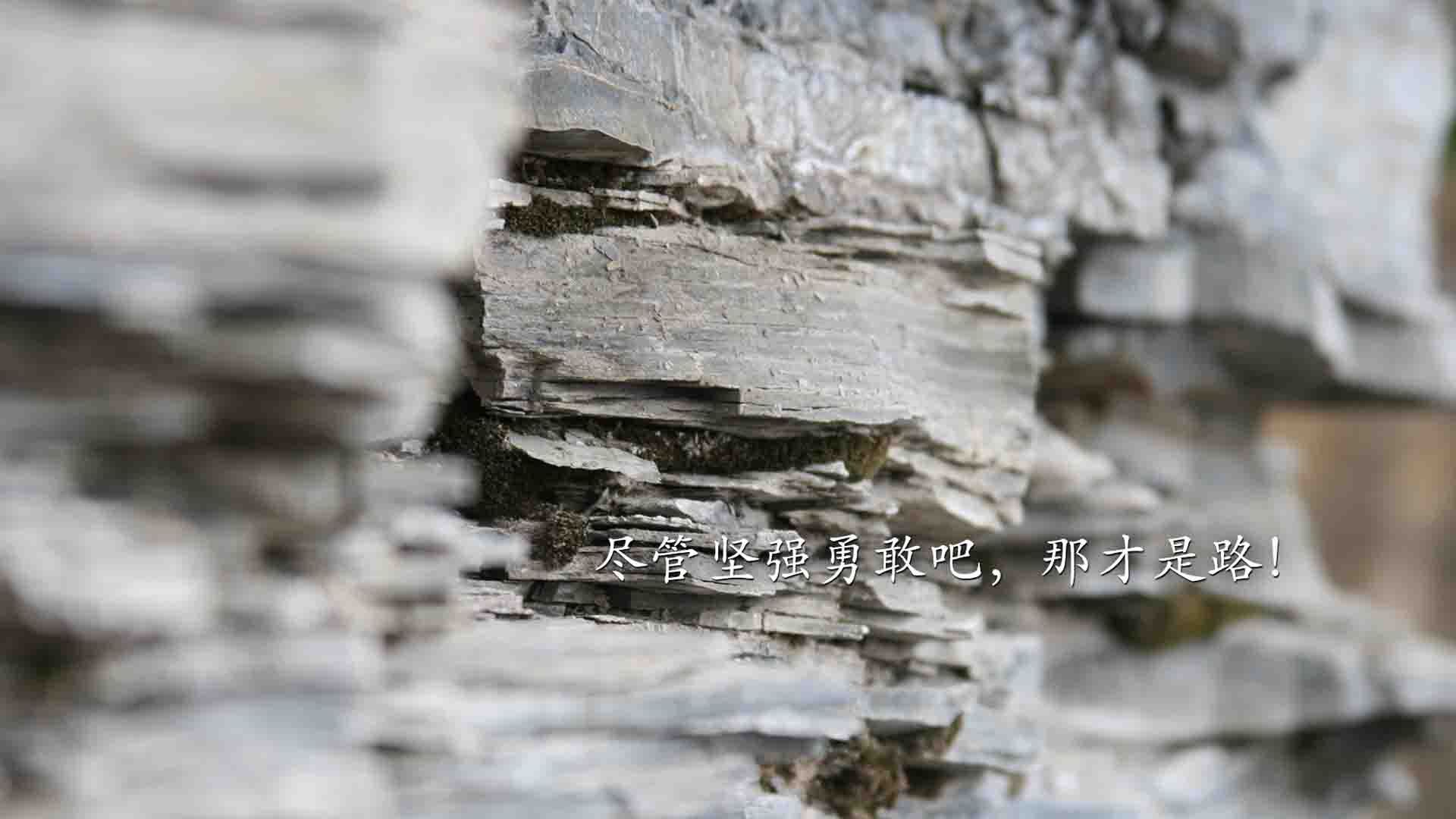 世界围棋赛策略与耐力的巅峰较量，世界比赛围棋