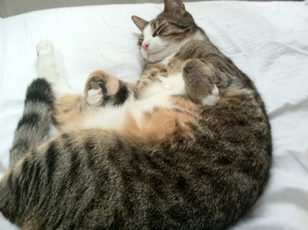 乐鱼（中国）体育官方网站-亚洲杯中国足球惨败 球迷呼吁加强基础建设，亚洲杯足球赛中国队比赛