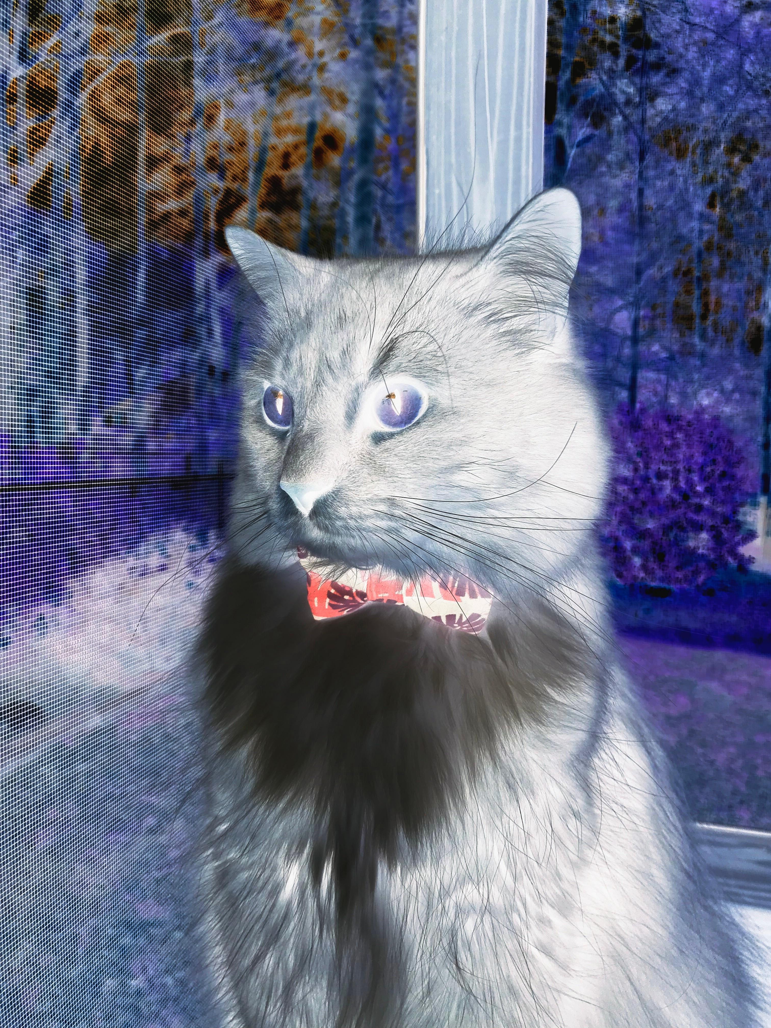 体育新闻中心建设面向基层的体育资讯服务平台,体育新闻专题报道