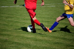 乐鱼娱乐app-国际足球俱乐部青训论坛在广州召开，国际足联青训补偿标准