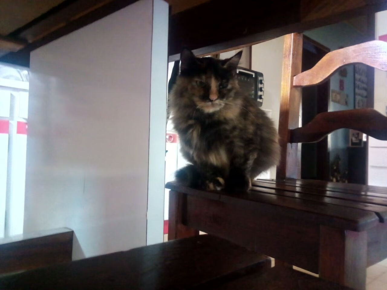 leyu.com-外援离队后影响球队战术连续性未有缓冲方案，外援技术犯规哭了