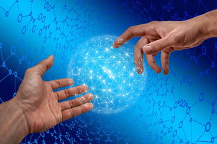 乐鱼电竞在线平台登录入口-德国仰泳项目技术稳定提升，德国仰泳项目技术稳定提升方案