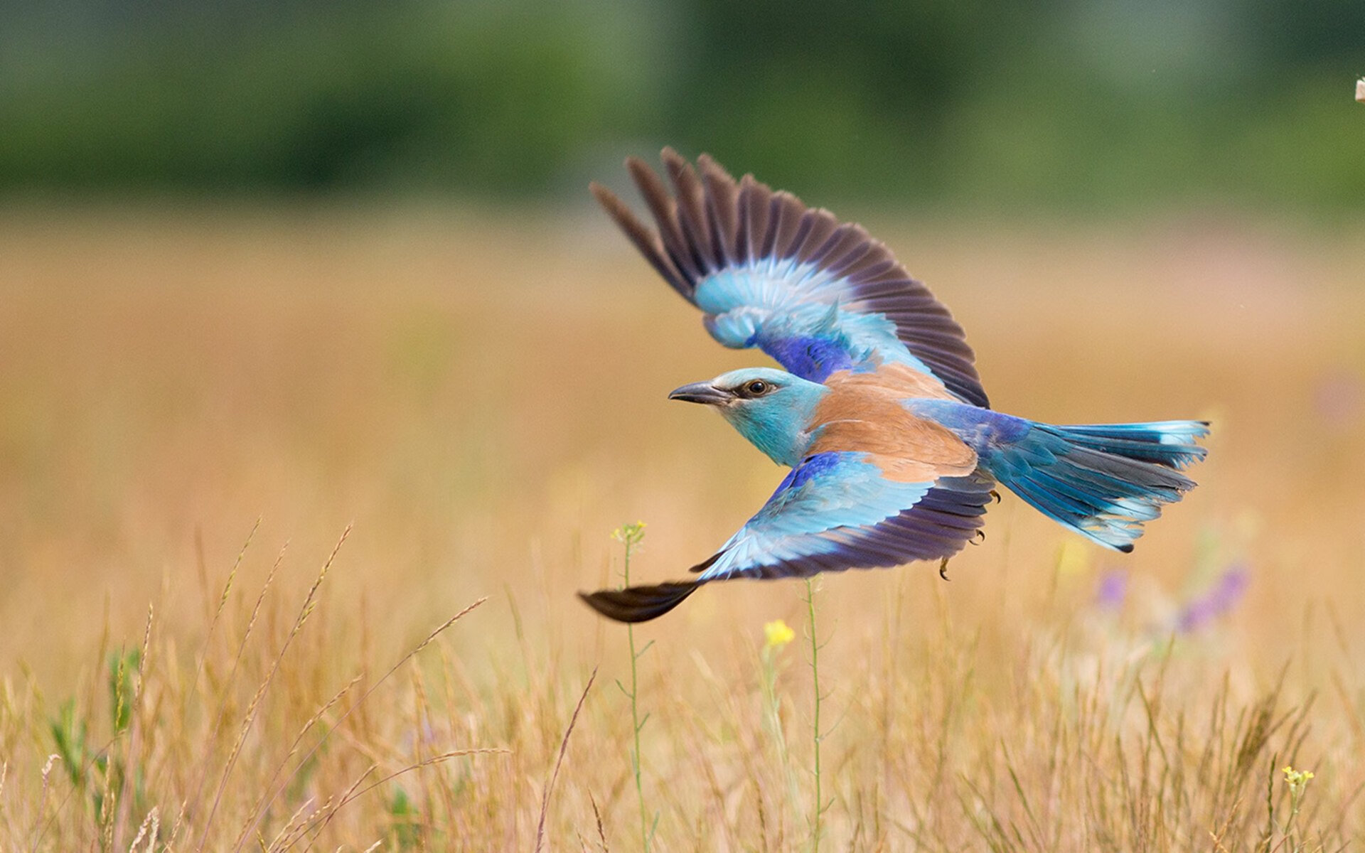 半决赛状态保持出色,稳定输出,半决赛什么意思