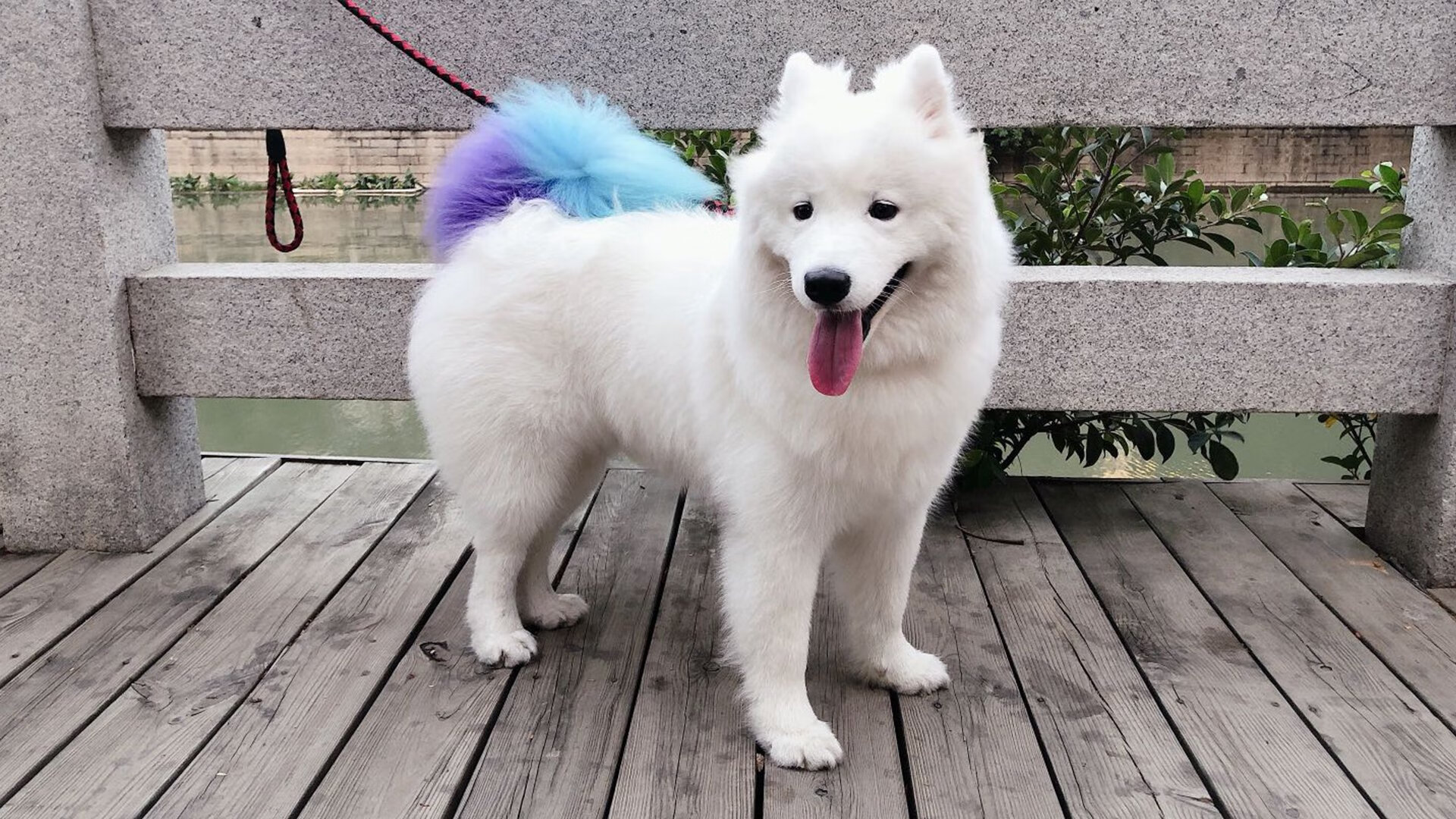 乐鱼（LEYU）体育-李冰洁突破自我 为中国队再添光芒，李冰洁比赛