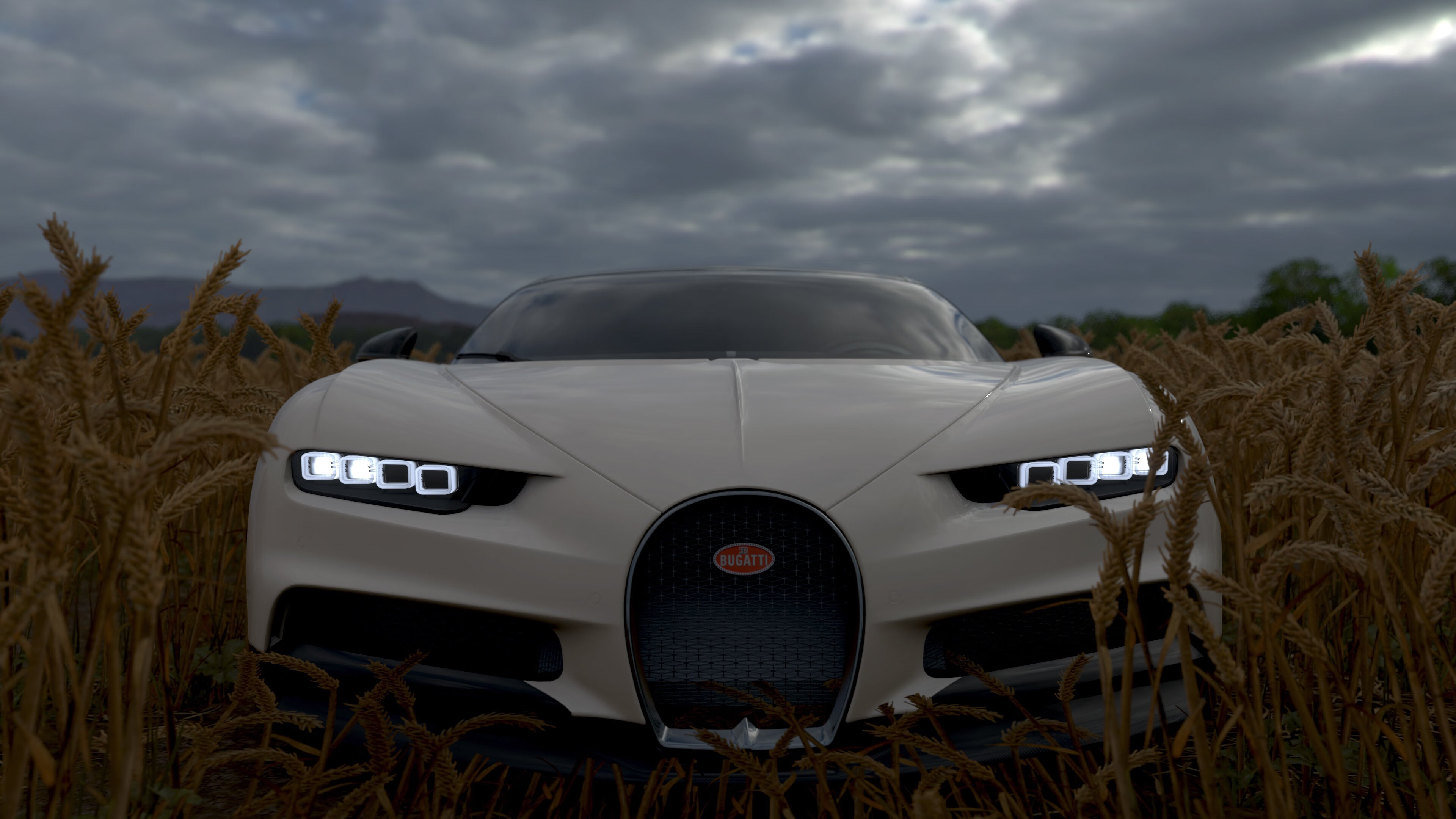 突尼斯人贾瓦迪挑战强手游出新高,突尼斯之夜 百度百科