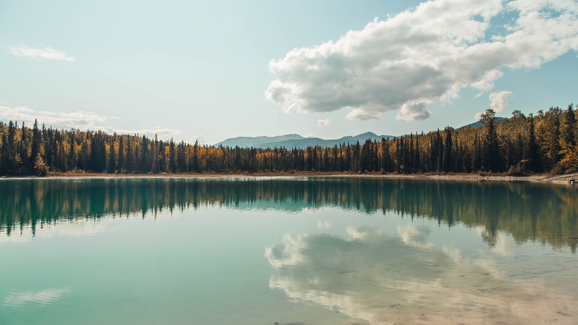 leyu乐鱼-英超火爆对抗：球员拼搏到最后一秒钟，英超火爆对抗_球员拼搏到最后一秒钟的视频