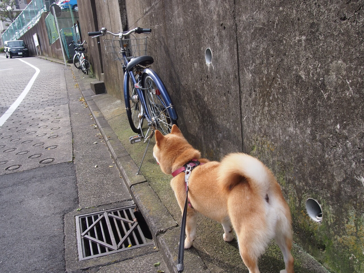 赛季过半数据统计表明控球率高并未直接带来胜率提升,这个赛季的控卫排名