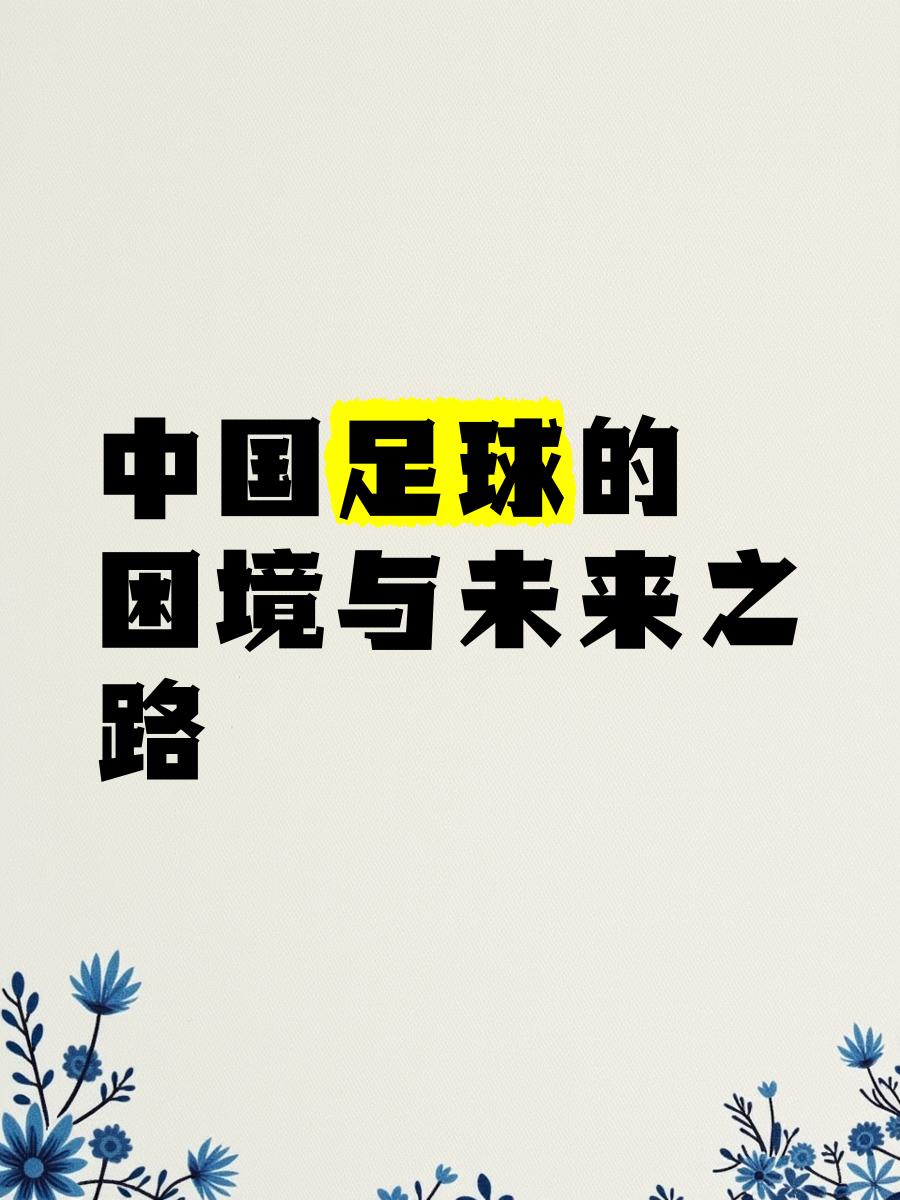 "从基层到职业：青少年足球的路径探索"的简单介绍