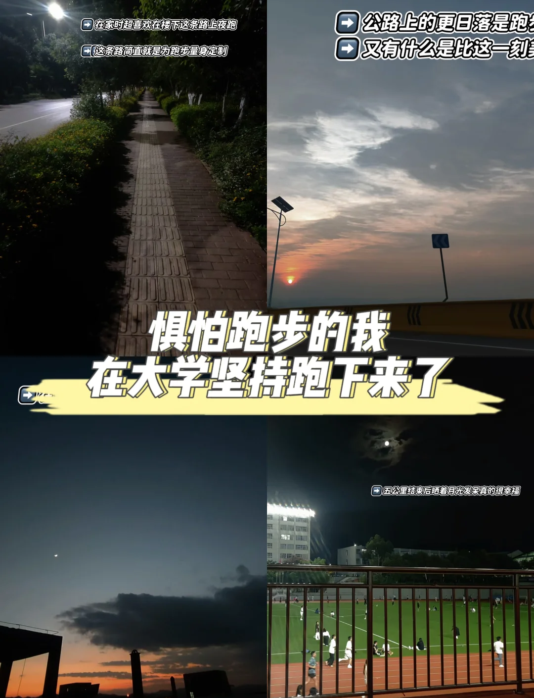 "运动员生涯的多重角色：追求成功的道路"的简单介绍