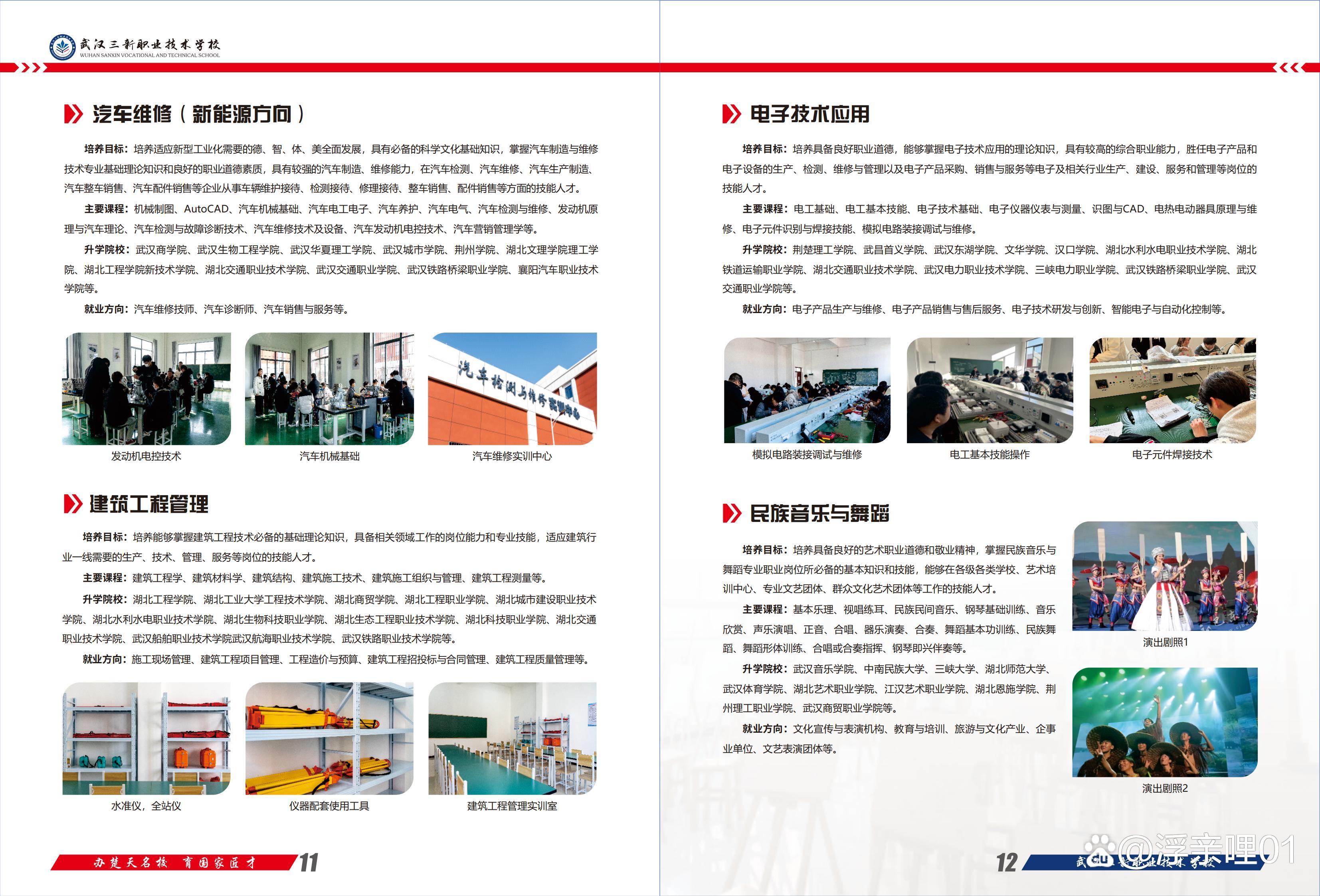 关于"青少年与职业运动的联结：发展新机制"的信息